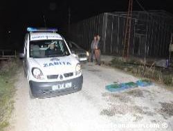 Bu Kurbaalar Kime Yedirecekler?